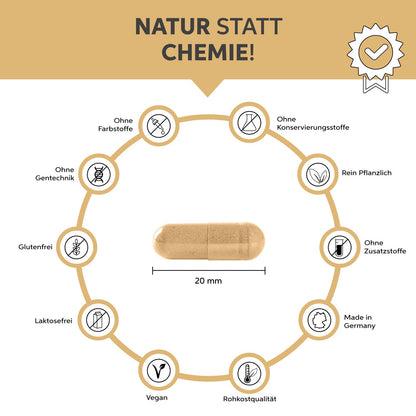 Produktbild Eltabia Flohsamenschalen (Kapseln)