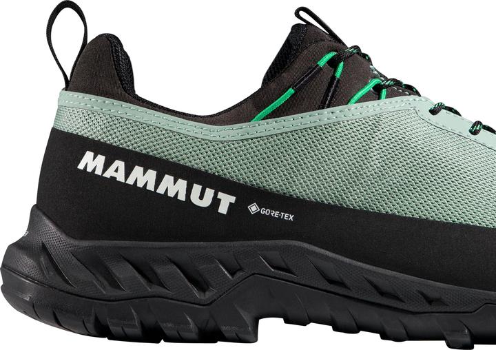 Produktbild Mammut Alnasca IV Low GTX Men (42)