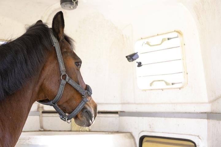 Produktbild Kerbl SmartCam HD (1280 x 720 Pixels)