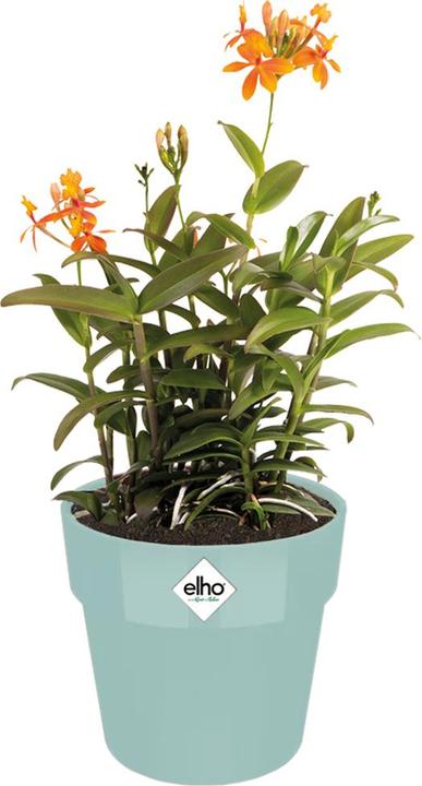 Produktbild Elho Blumentopf (16.50 x 18 cm)