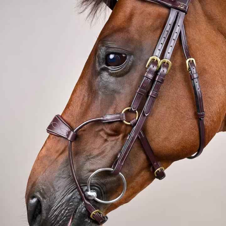 Actual product image Dy'on Coll