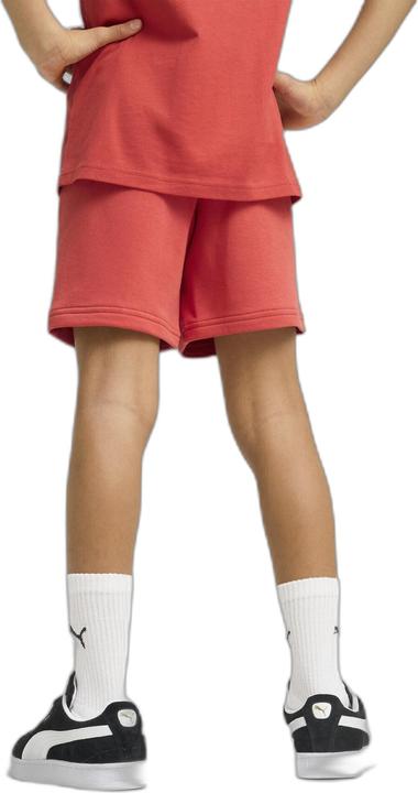 Actual product image Puma ESS 2 COLOR No. 1 Logo Shorts TR B (176)