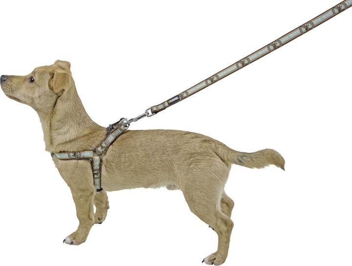 Produktbild Kerbl Geschirr Wild Life braun, 25-45cm/20mm (Hund)