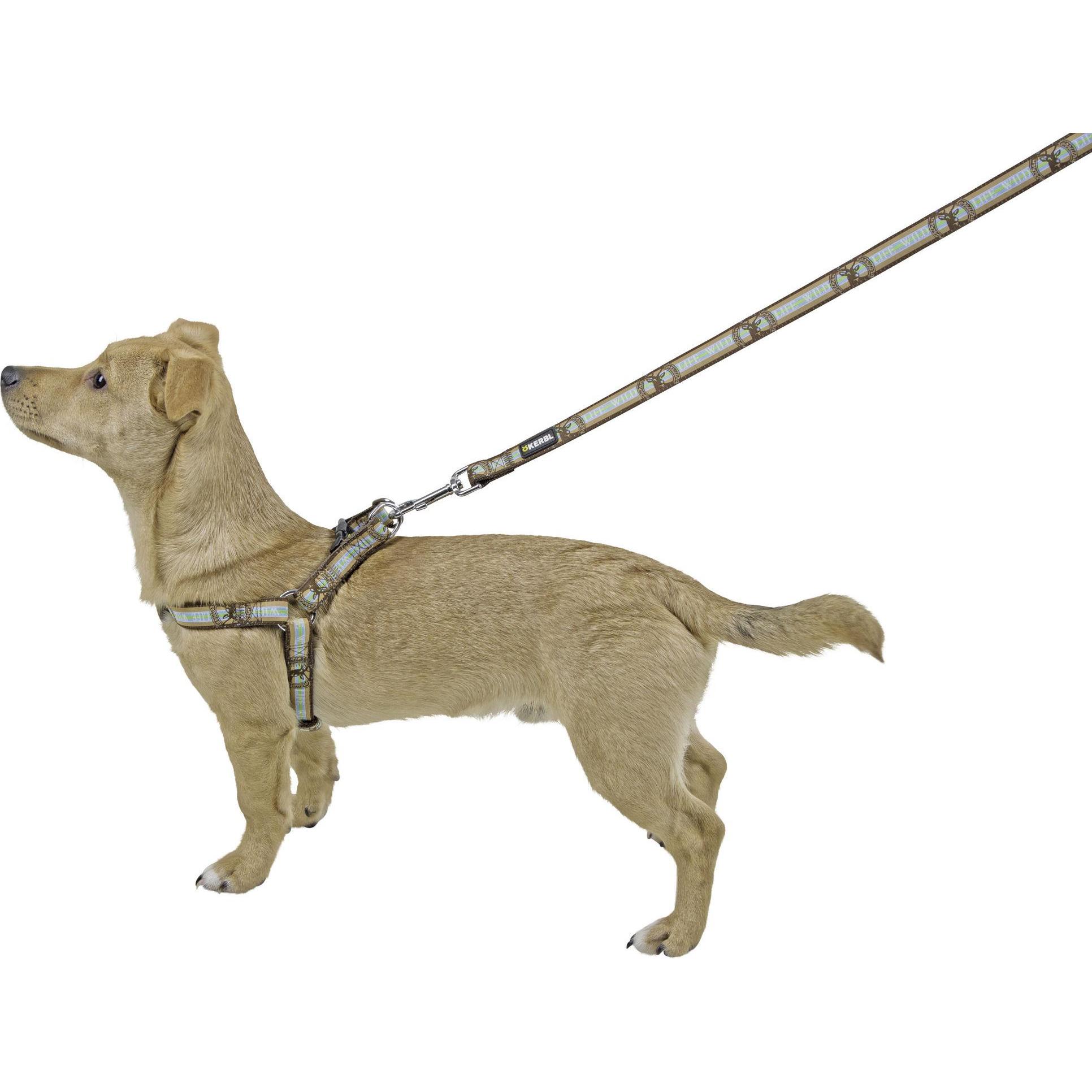 Thumbnail - Kerbl Geschirr Wild Life braun, 25-45cm/20mm (Hund, Hundesport), Halsband + Leine