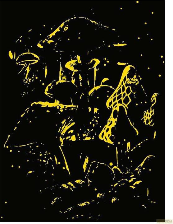 Productafbeelding Ravensburger Moonlight Mushrooms (500 onderdelen)