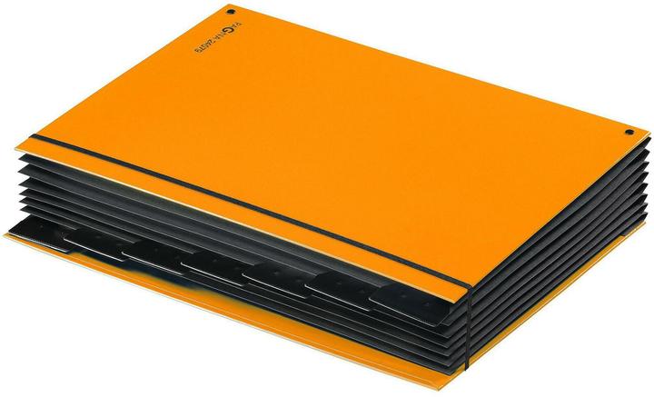 Image du produit Pagna Tendance des dossiers de bureau (A4, 1x)