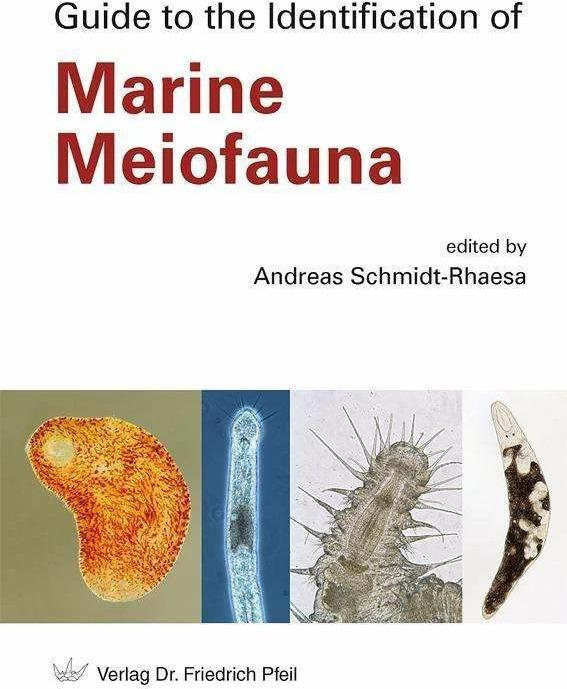 Guide to the Identification of Marine Meiofauna (Englisch, Andreas Schmidt-Rhaesa, 2020)