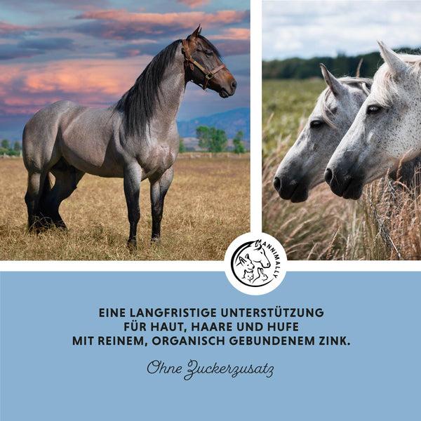 Produktbild Annimally Zink Pellets - Nachfüllpackung (2000 g)