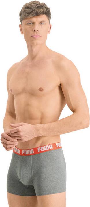 Actual product image Puma Basic Boxer (S, pack of 2)