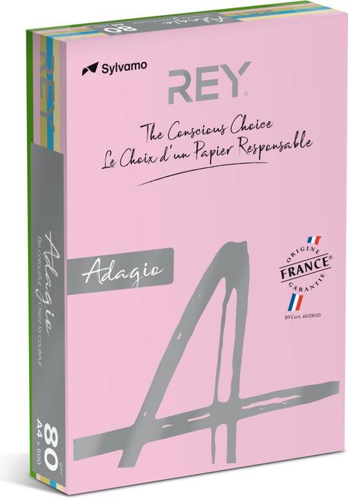 Rey Carta colorata RYADA080X910 Colori assortiti 80 g/m² (80 g/m², 500 x, A4)