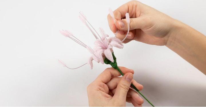 Actual product image Creativ Company Bastelset Spinnenlilie, Chenilledraht Mini