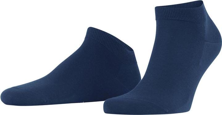 Bleu royal