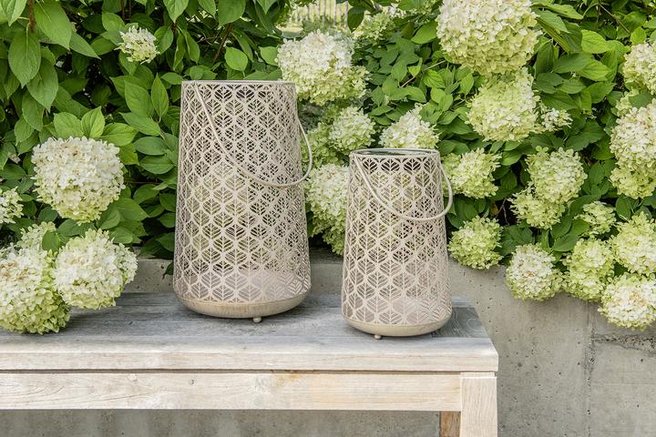 Image du produit STT Antic Grafic