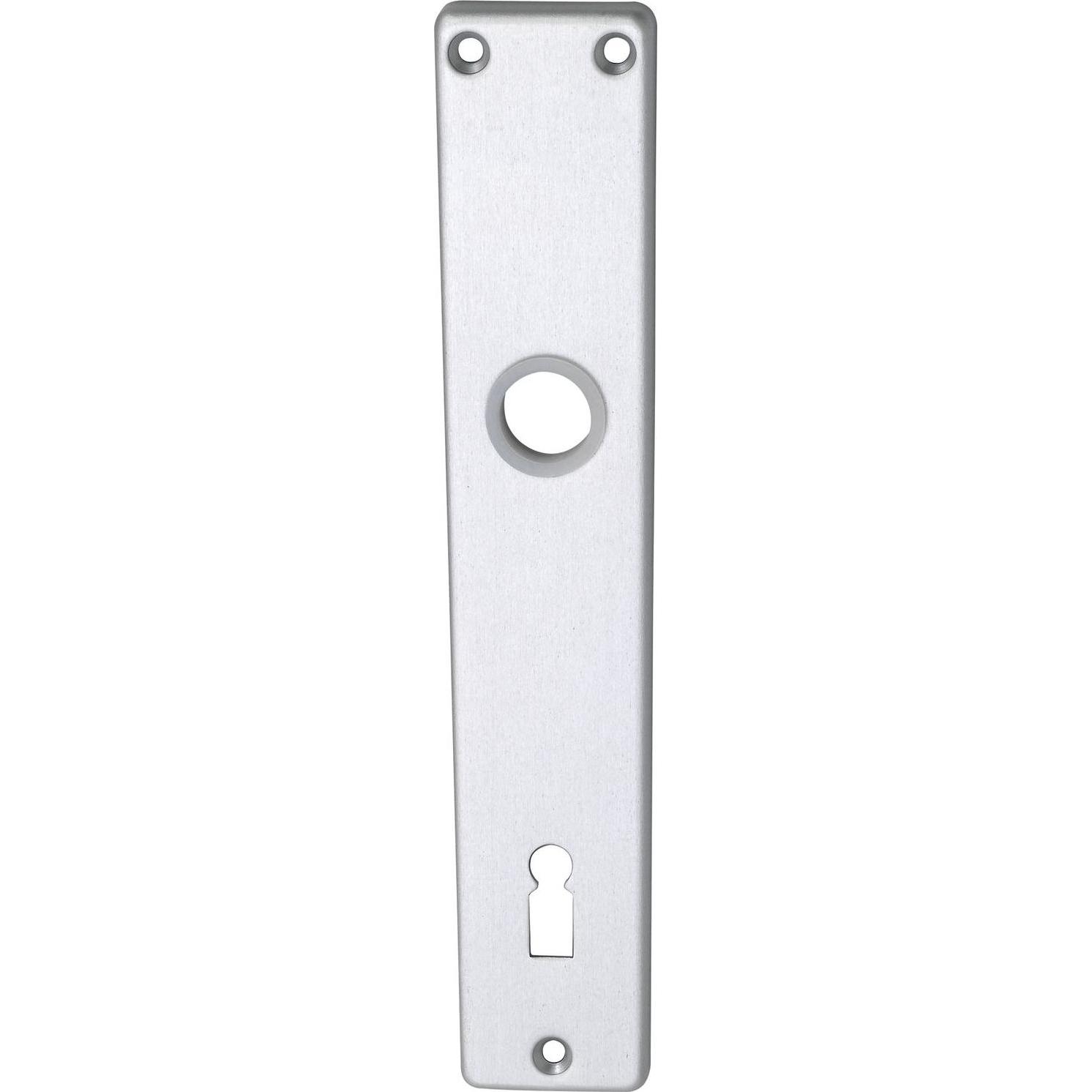 Brialma, Türgriff + Fenstergriff, Langschild EUROPA, BB 90, silber eloxiert (Türschild)