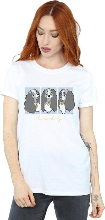 Actual product image Disney Womens/Ladies Lady And The Tramp Lady Frames Cotton Boyfriend T-Shirt (XXL)