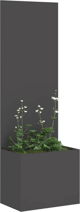 Produktbild vidaXL Gartensichtschutz (50 cm)