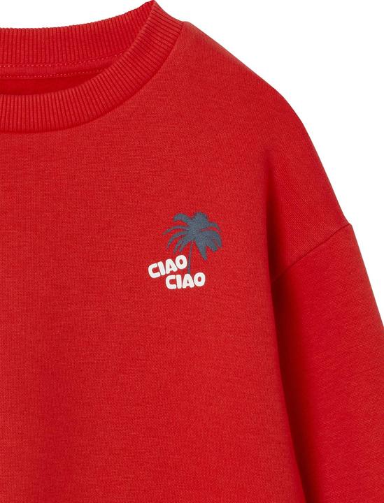 Produktbild Vertbaudet Jungen Sweatshirt mit Urlaubsmotiv hinten, Recycling-Polyester (158, 164)