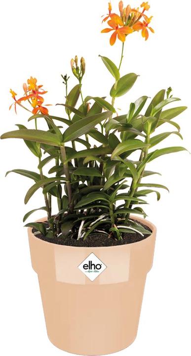 Produktbild Elho Blumentopf (16.50 x 18 cm)