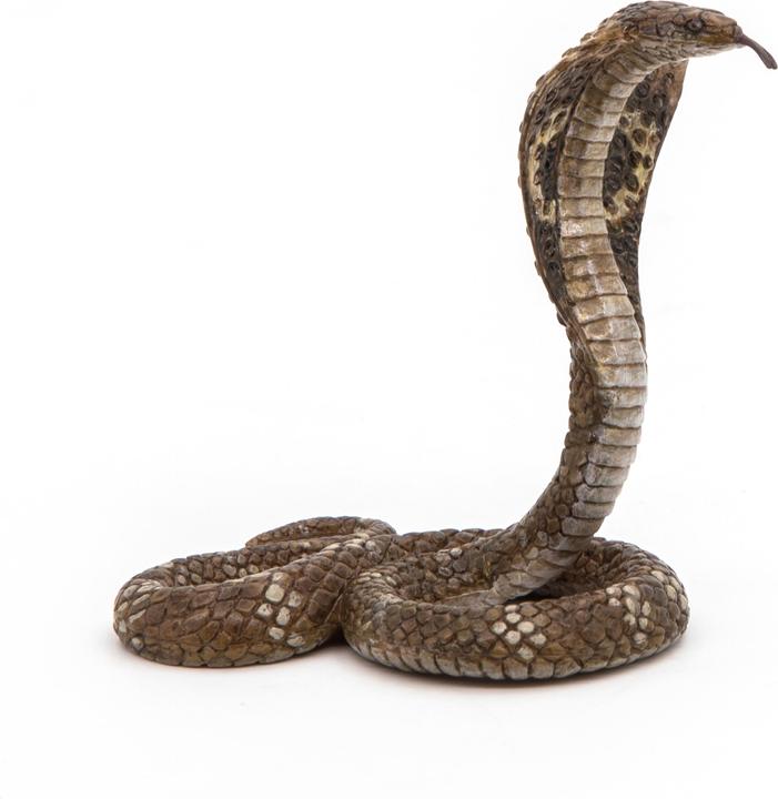 Produktbild Papo Königskobra
