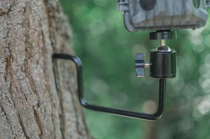 Actual product image Braun Photo BRAUN Tree Screw for Game Cameras 1/4"