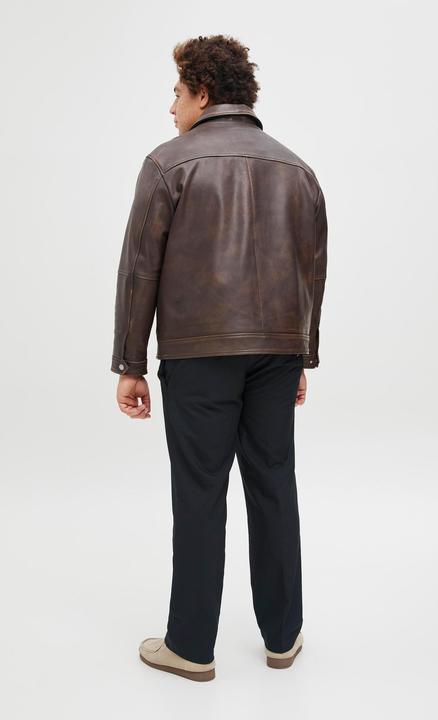 Actual product image Jack & Jones Plus Size Tapered Fit Karottenhosen Karottenhosen (W42/L32)