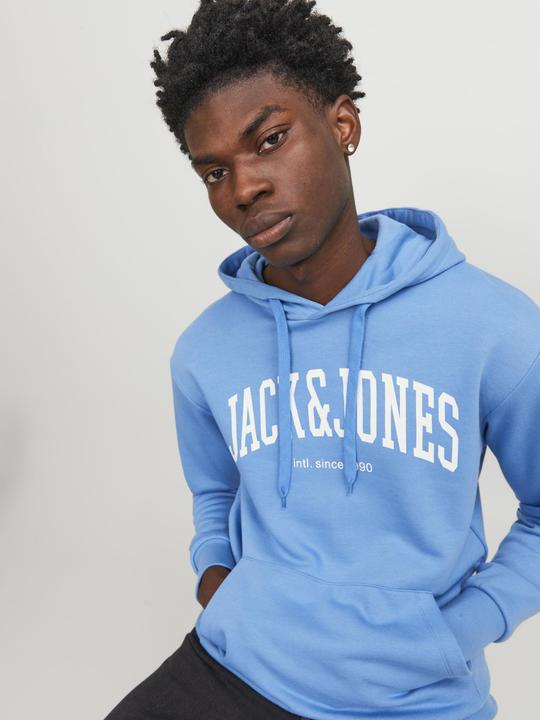 Immagine prodotto Jack & Jones Hoodie (M)