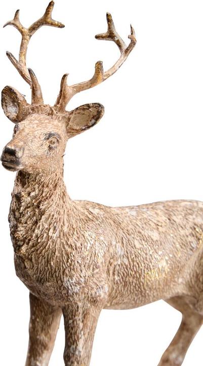 Image du produit pfister Alpine Nature