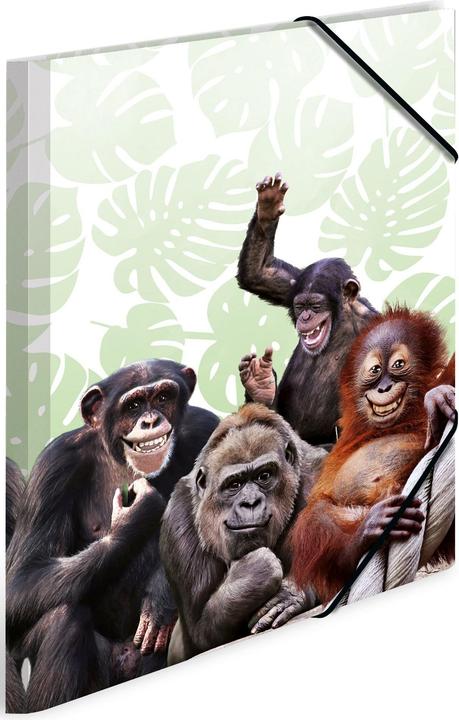 Productafbeelding HERMA 3 tekenmappen DIN A3 apen (A3, 3x)