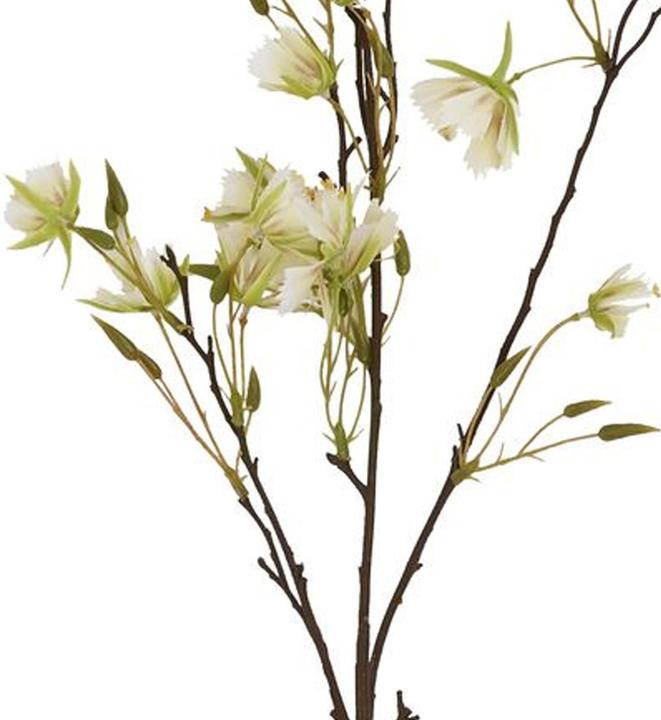 Actual product image Hill Interiors Elaeocarpus Artificial Flower (100 cm)