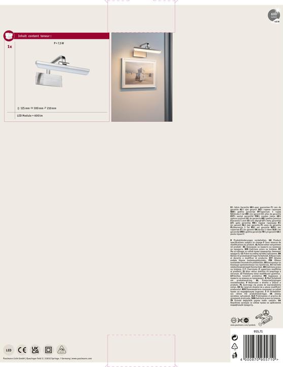 Image du produit Paulmann Lampe à tableau Renan (450 lm)