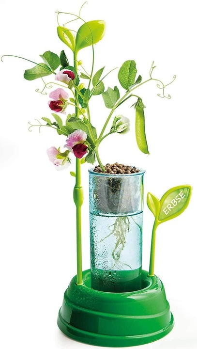 Produktbild Clementoni Botanik und Hydrokultur