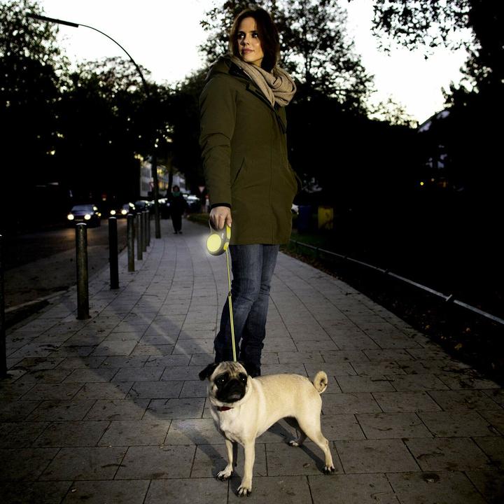 Actual product image Flexi New Classic Neon Rope (M, Dog, Walks)