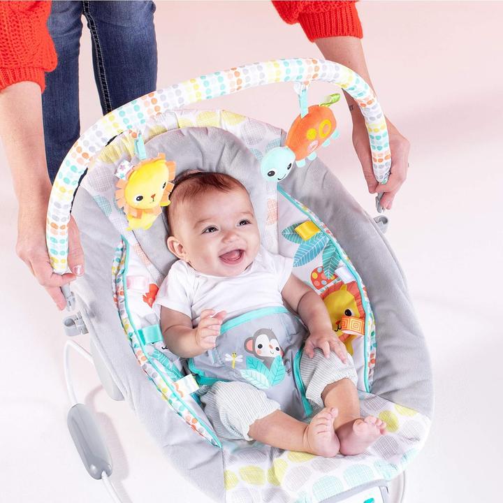 Image du produit Bright Starts Transat vibrant pour bébé, Whimsical Wild