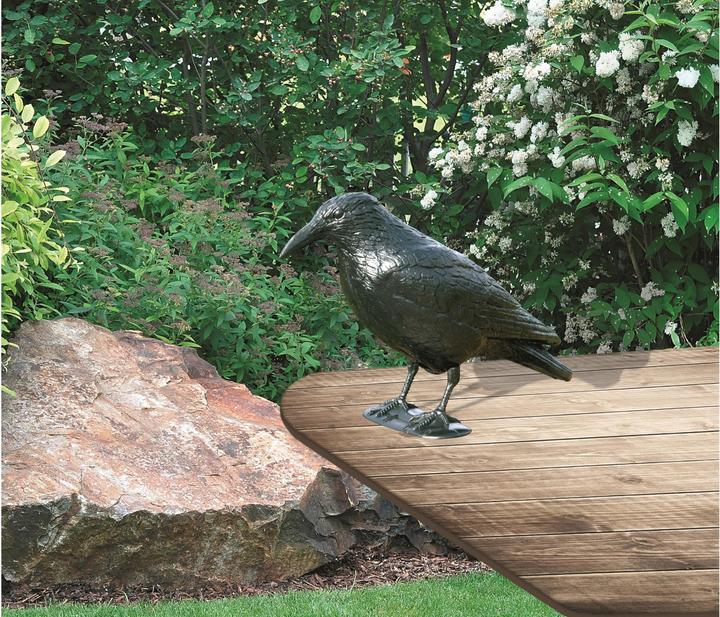 Immagine prodotto Windhager Figura animale corvo 37cm, nero