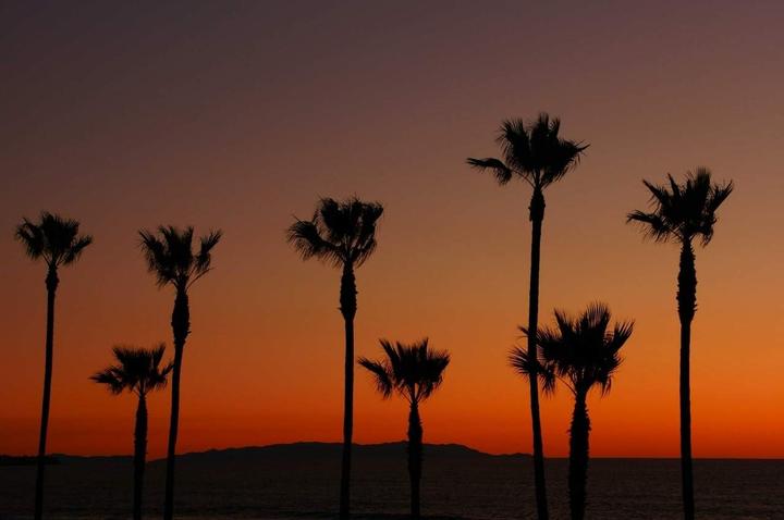 Produktbild Sony E PZ 18-200mm f/3.5-6.3 OSS, E-Mount (Sony E, APS-C / DX)