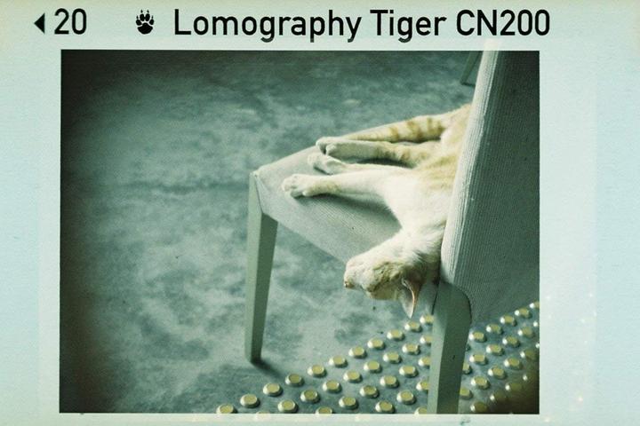 Actual product image Lomo Colour Tiger 110