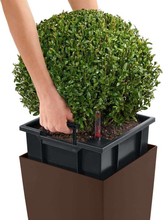 Immagine prodotto Lechuza Cubico Color 30 (29.50 cm)