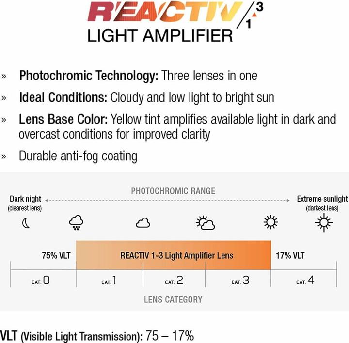 Image du produit Julbo Density Schwarz Durchscheinend Glänzend Grau REACTIV 13 Light Amplifier (Anthracite, Noir)