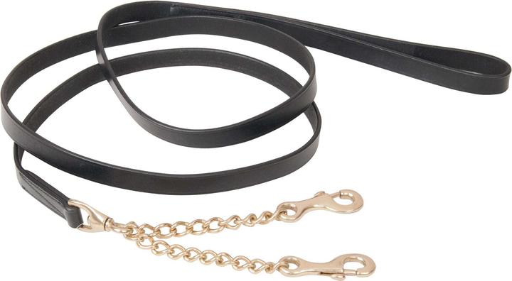 Produktbild TdeT Schauleine mit doppelter Kette