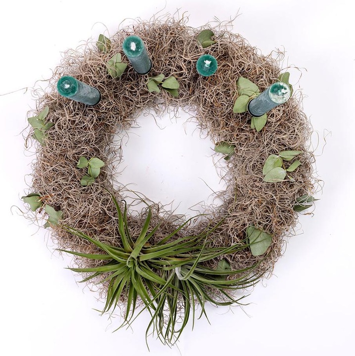 Produktbild VEG and the City Adventskranz Tillandsien - Kerzen Tannengrün (35 cm)