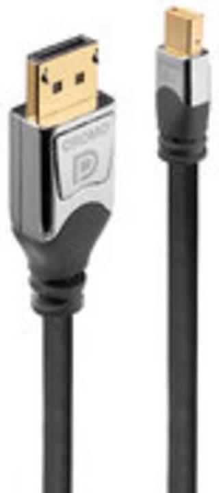 Image du produit Lindy Mini DisplayPort — DisplayPort (0.50 m)