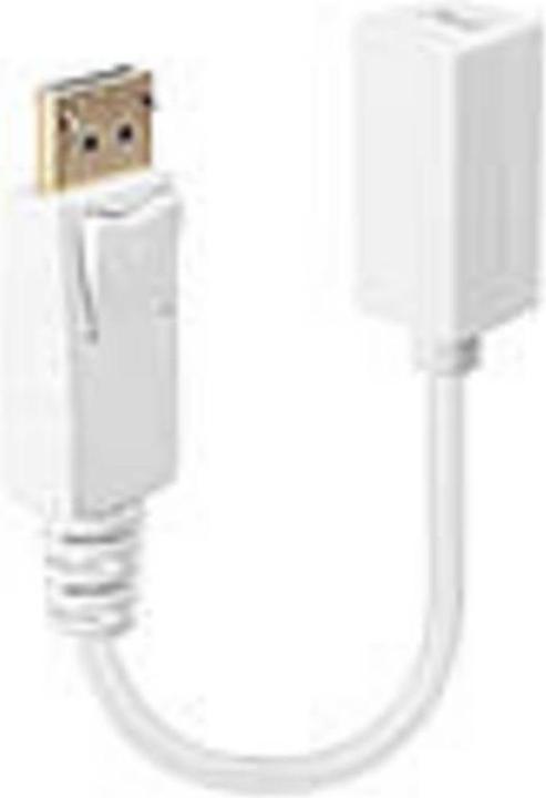 Produktbild Lindy DisplayPort zu (Mini DP, 15 cm)