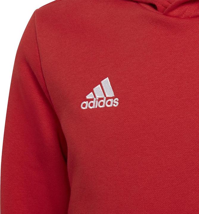 Actual product image adidas Entrada 22 hoodie kids (140)