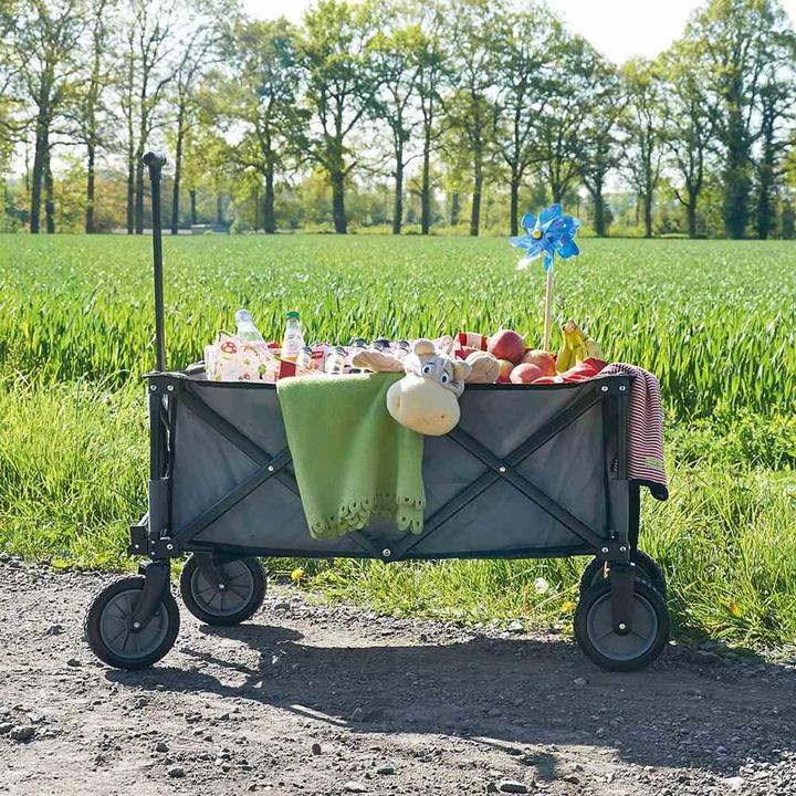 Actual product image Pinolino Porti' Dolly