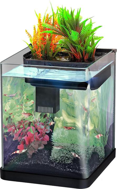 Amazonas World Nano Plant (20 l)