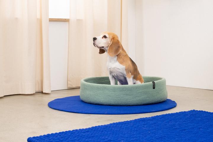 Produktbild Myfelt Fine (Hund)