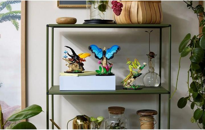 Produktbild LEGO Die Insektensammlung (21342, LEGO Ideas)