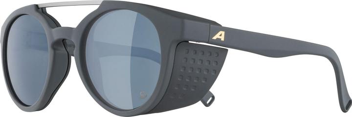 Image du produit ALPINA SPORTS Glace P
