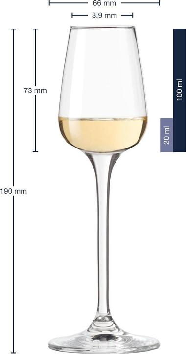 Actual product image Leonardo Tivoli digestif glasses (1 dl, 6 x, Liqueur glasses + grappa glasses)