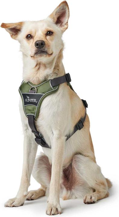 Productafbeelding Hunter Divo servies (S, M, Hond, Algemeen)